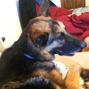 Meet your Posher, Aspen